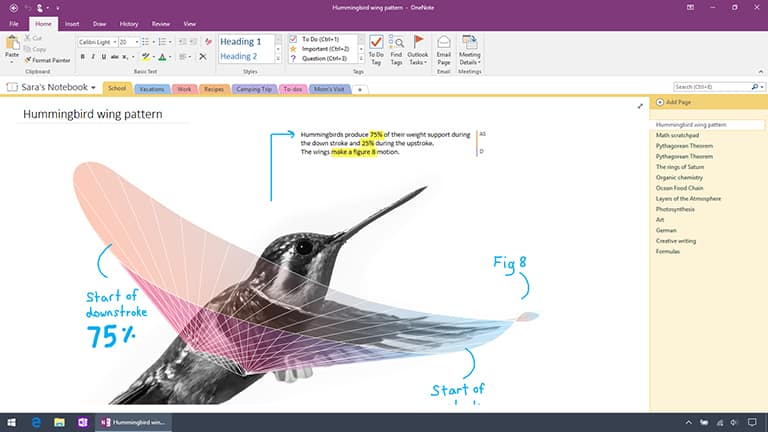 Screenshot of OneNote 2016